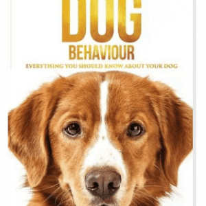 Decoding Dog Behaviour
