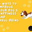 6 Ways to Improve Your Dog’s Happiness and Well-being