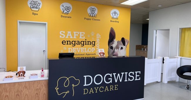 Dogwise daycare
