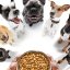 Beyond Kibble Chaos: Dogwise Dog Nutrition Unlocks the Secrets of Healthy & Delicious Dog Meals